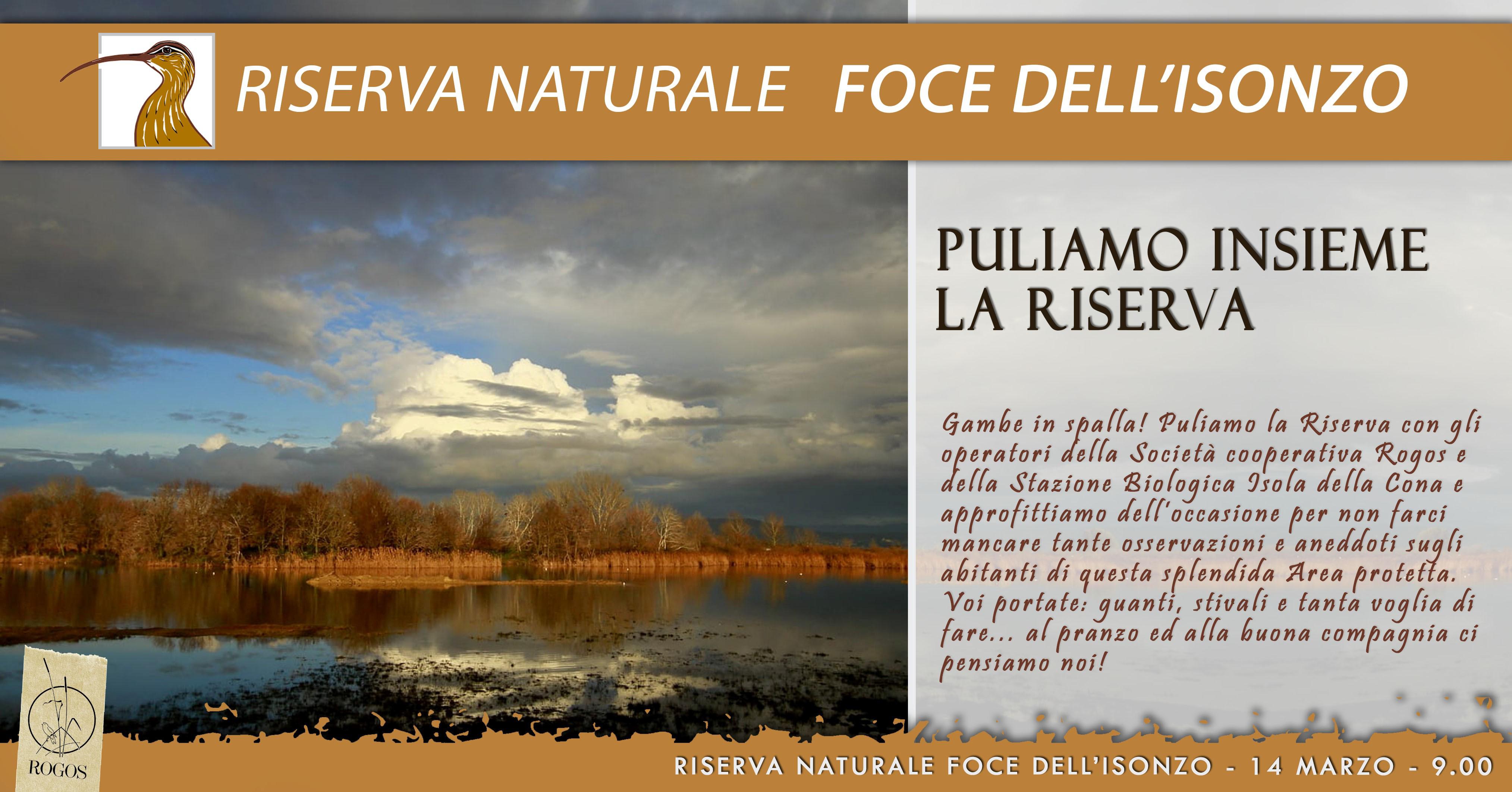 Copertina per Riserva naturale Foce dell'Isonzo preda di immondizie, un'escursione per ripulirla